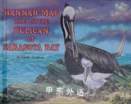 Hannah Mae the little pelican of Sarasota Bay gladys dorfman
