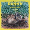 Bunny: An Alaskan Hare