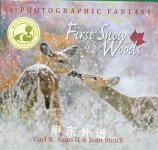 First Snow in the Woods: A Photographic Fantasy Carl R. Sams,Jean Stoick
