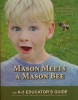 Mason meets a mason bee