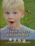 Mason meets a mason bee Dawn V Pape