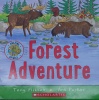 Forest adventure