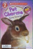 Pet Charms：Bunny Surprise