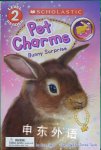 Pet Charms：Bunny Surprise Amy Edgar