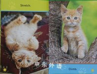 Play Kitty