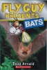 Fly Guy presents : bats