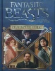 Character Guide Fantastic Beasts and Where to Find Them
