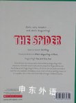 The Spider
 

