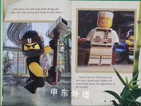 Lloyd: A Hero's Journey (The LEGO NINJAGO MOVIE: Reader)