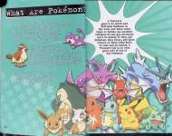Pokemon Classic Collectors Handbook