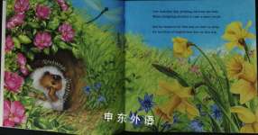 HideAway Hedgehog and the Magical Rainbow