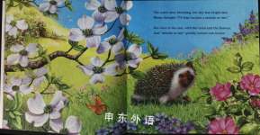 HideAway Hedgehog and the Magical Rainbow