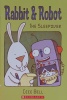 Rabbit and Robot : the sleepover