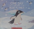One Day On Our Blue Planet In the Antarctic