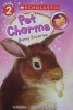 pet charms：bunny surprise