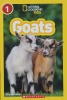 National Geographic Kids:Goats