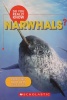 do you really know narwhals?