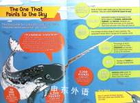 Do You Really Know Narwhals