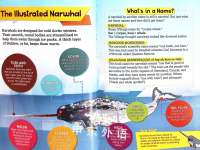 Do You Really Know Narwhals