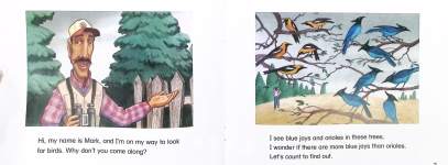 FOR THE BIRDS