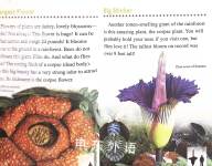 Strange and Amazing Plants
