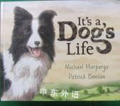 It's a Dog's Life Michael Morpurgo