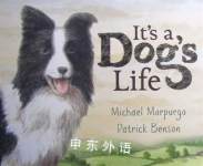 It is a dog life Michael Morpurgo