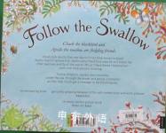 Follow the Swallow