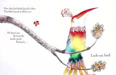 BIRDS NG