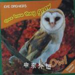 Owl (Eye Openers See How They Grow) DK