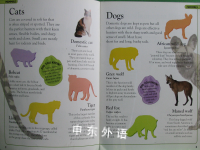 DK Animals Sticker Book
