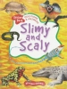 Questions and Answers Stickers book：Slimy and Scaly 
