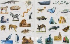 Wild Animals My Sticker Activity Book