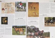 The Encyclopaedia of Horses and Ponies