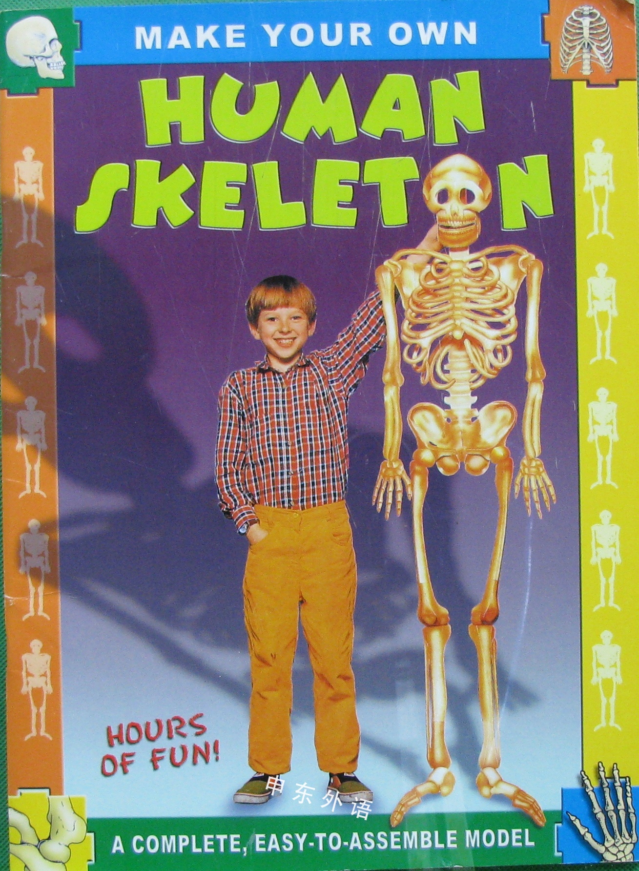 Make Your Own Human Skeleton 解剖及生理学 科学 自然与自然规律 儿童图书 进口图书 进口书 原版书 绘本书 英文 原版图书 儿童纸板书 外语图书 进口儿童书 原版儿童书