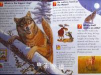 Wild, wild world: Wild cats and other dangerous predators