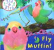 Fly Muffin! (3rd