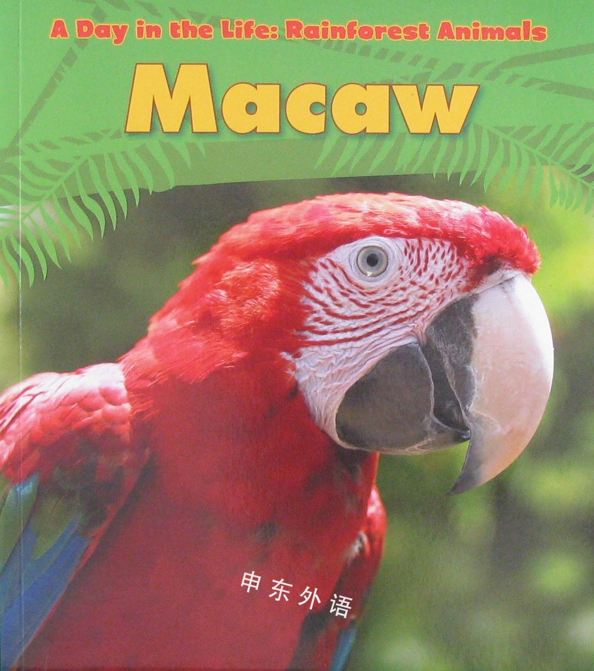 Macaw A Day In The Life Rainforest Animals 动物 儿童图书 进口图书 进口书 原版书 绘本书 英文原版图书 儿童纸板书 外语图书 进口儿童书 原版儿童书