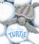 Nature storybooks：One Tiny Turtle Nicola Davies