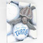 Nature storybooks：One Tiny Turtle