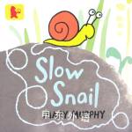 Slow Snail Mary  Murphy