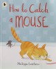How to catch a mouse