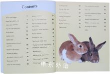 All About Rabbits and Other Small Animals