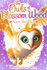Save the Day(The Owls of Blossom Wood)