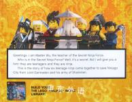 High-tech Ninja heross(The LEGO Ninjago Movie)