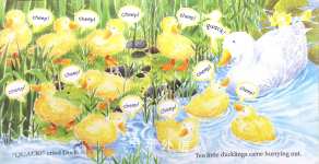 Quacky Duck
