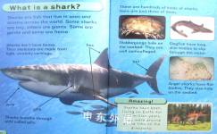 Read and discover sharks with over 50 stickers!