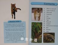 Wild Cats Read and Discover