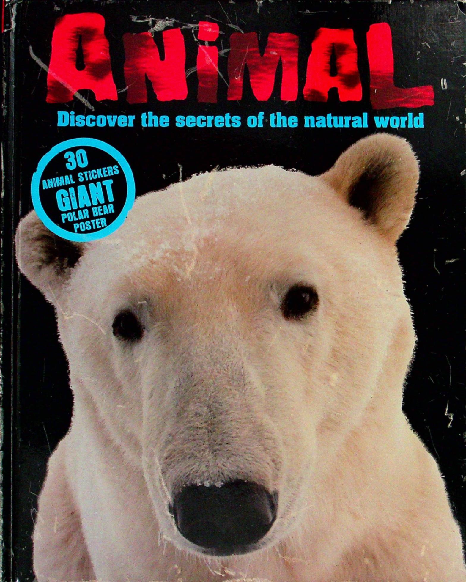 poster reference: animal