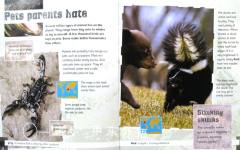 Pets Parents Hate: Animal Life Cycles